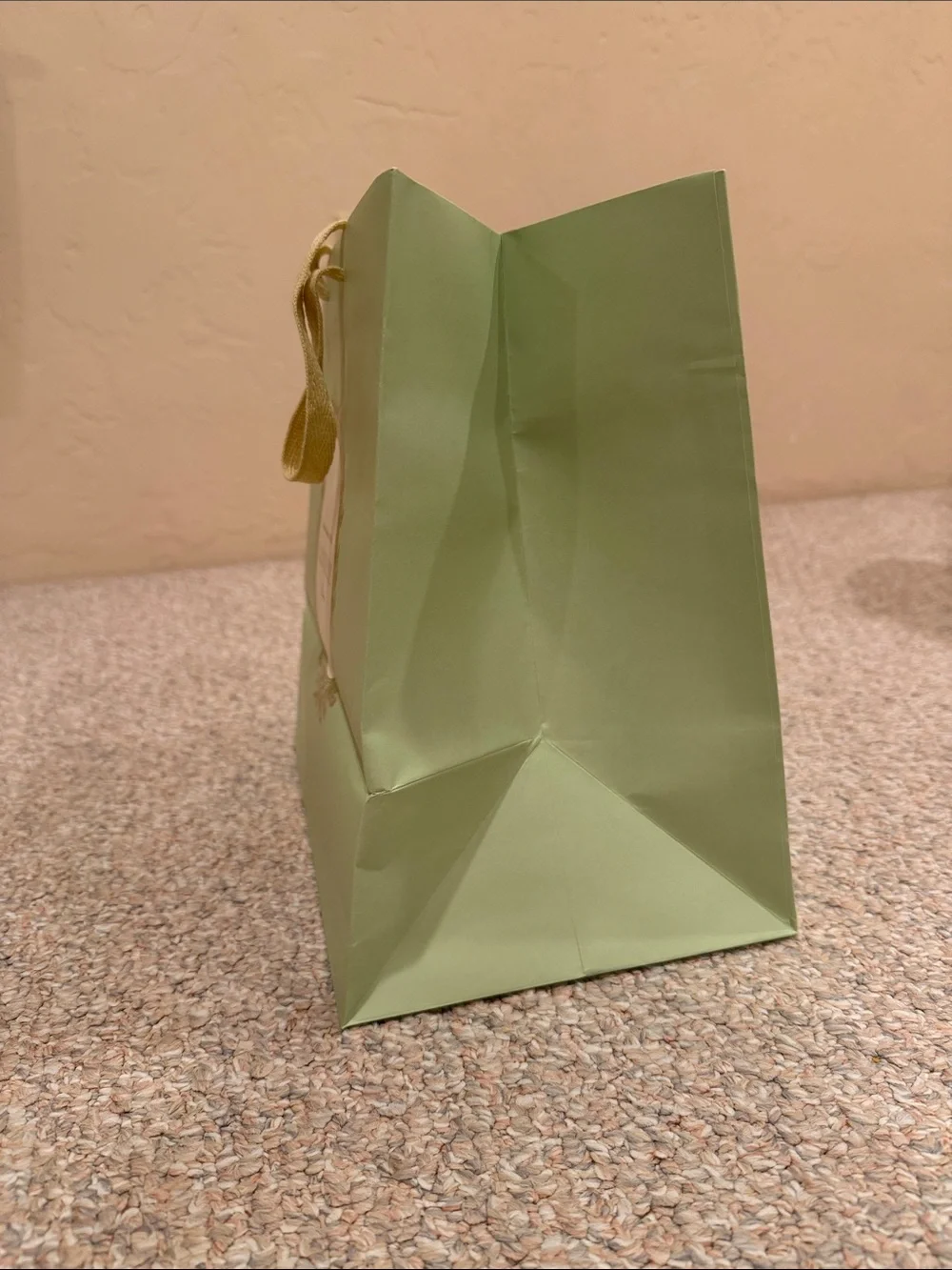 Ladurée Medium Shopping Gift Bag